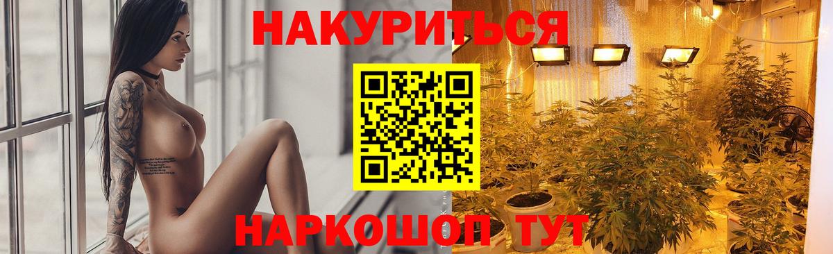 Бошки марихуана сатива Сосновоборск
